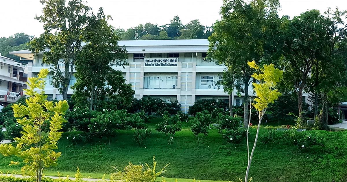 AHS UP Green Office